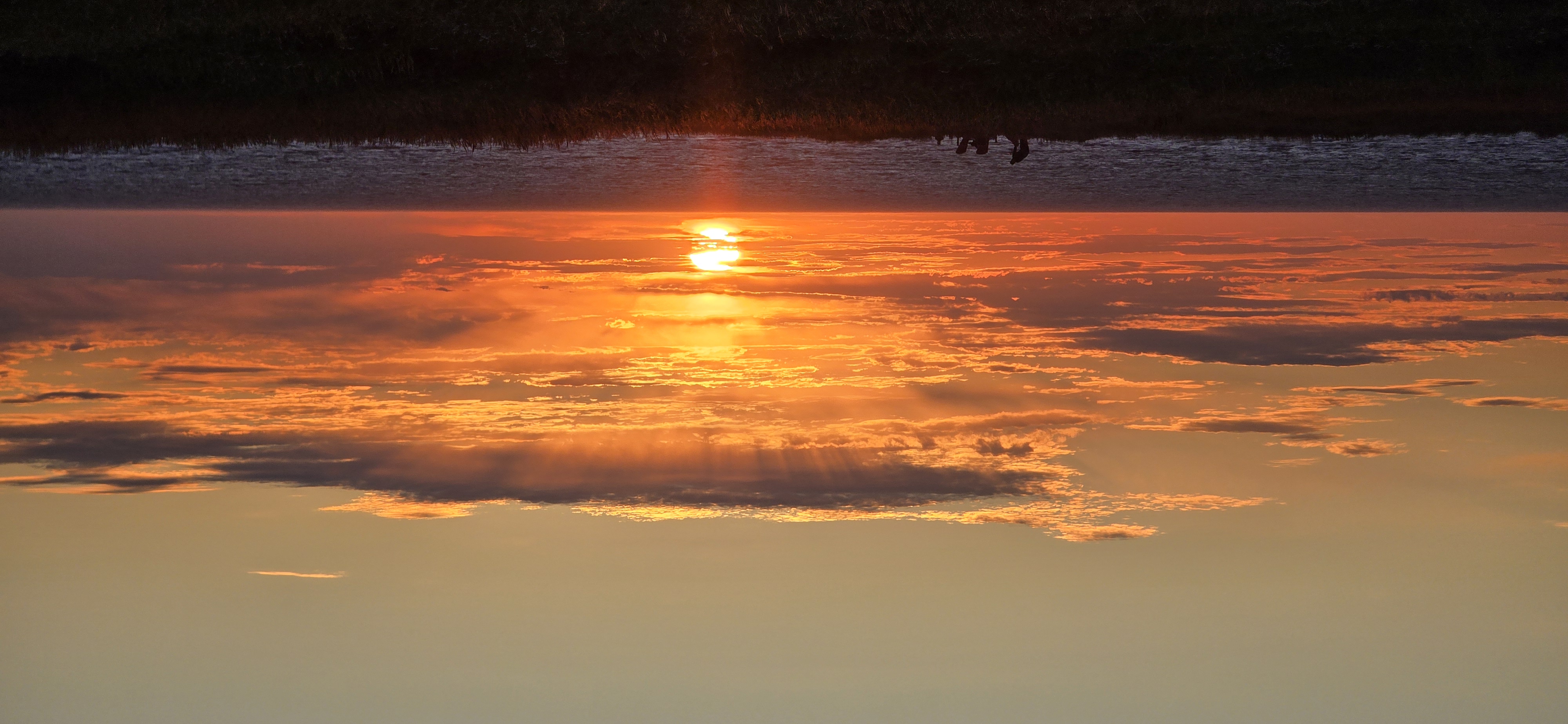 The Forge mobile sauna